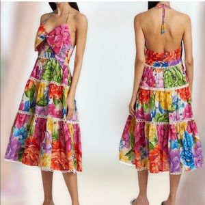 FARM RIO Chita Floral Dress NWT SIZE L